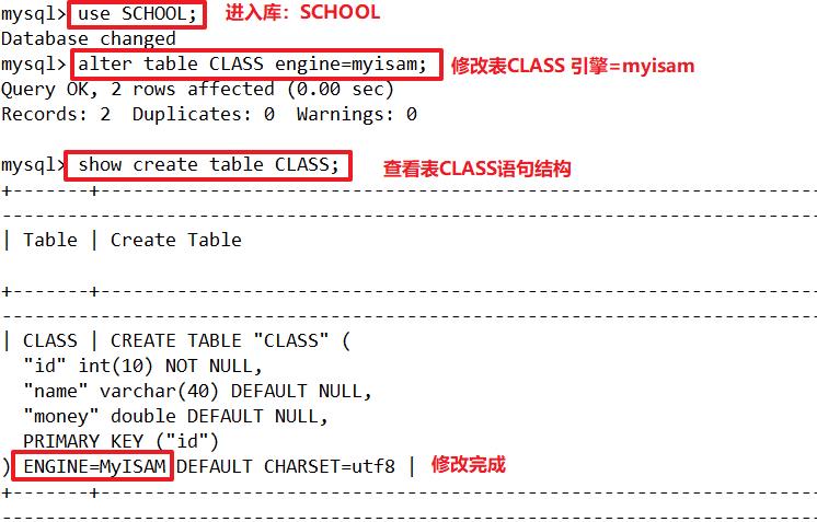 MySQL