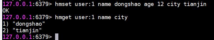 Redis(开发与运维):13---哈希/散列对象_字符串_06