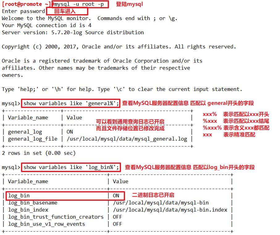 MySQL主从复制与读写分离_数据库_03