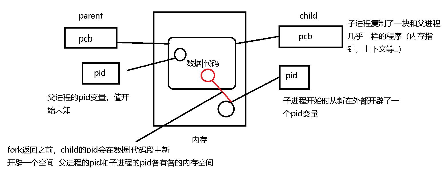 理解进程概念—2_父进程_11