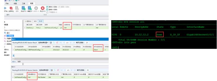 RENIX软件BFD测试——网络测试仪实操_BFD测试_34