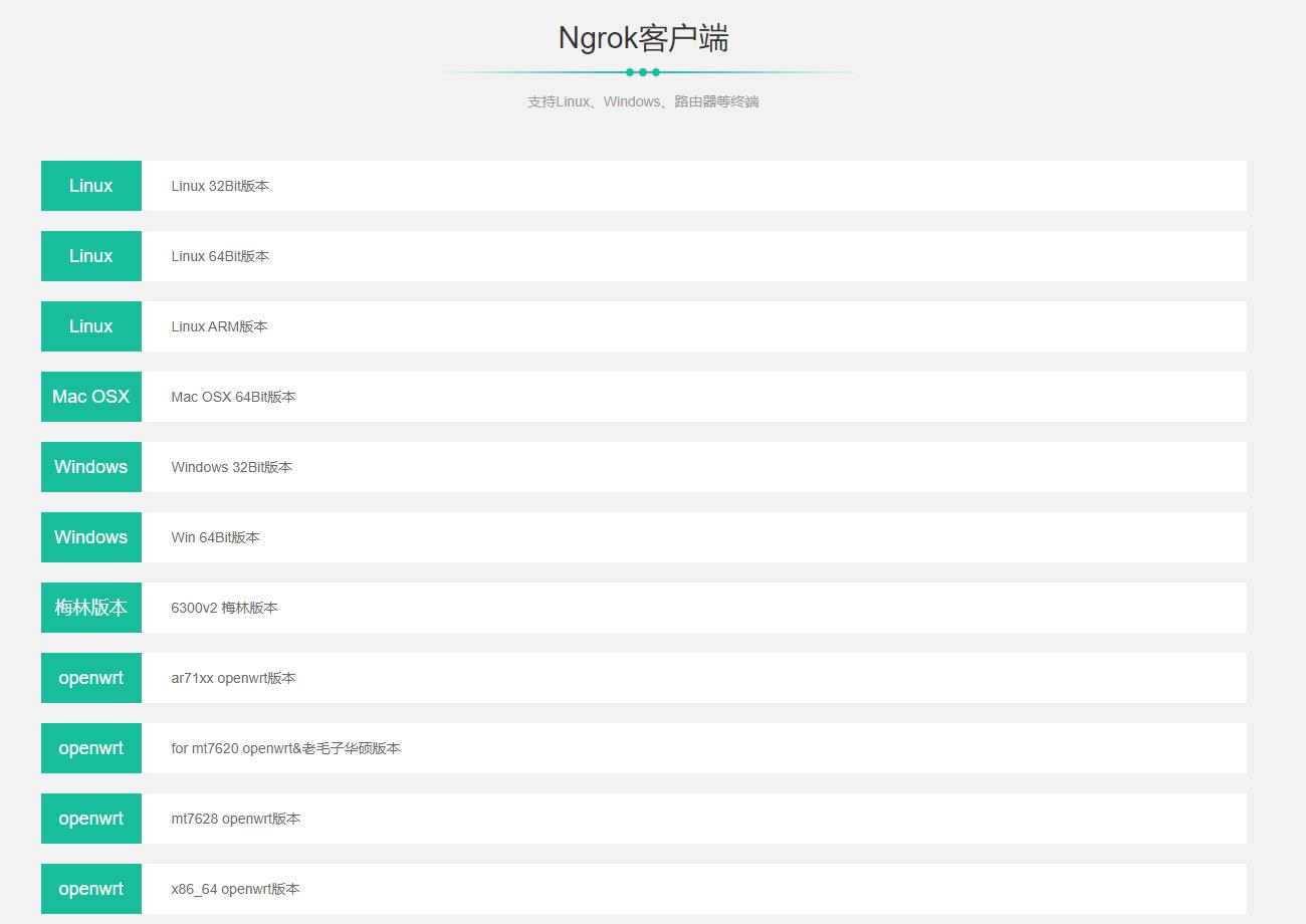 #yyds干货盘点#Ngrok（内网穿透工具）使用教程_客户端_05