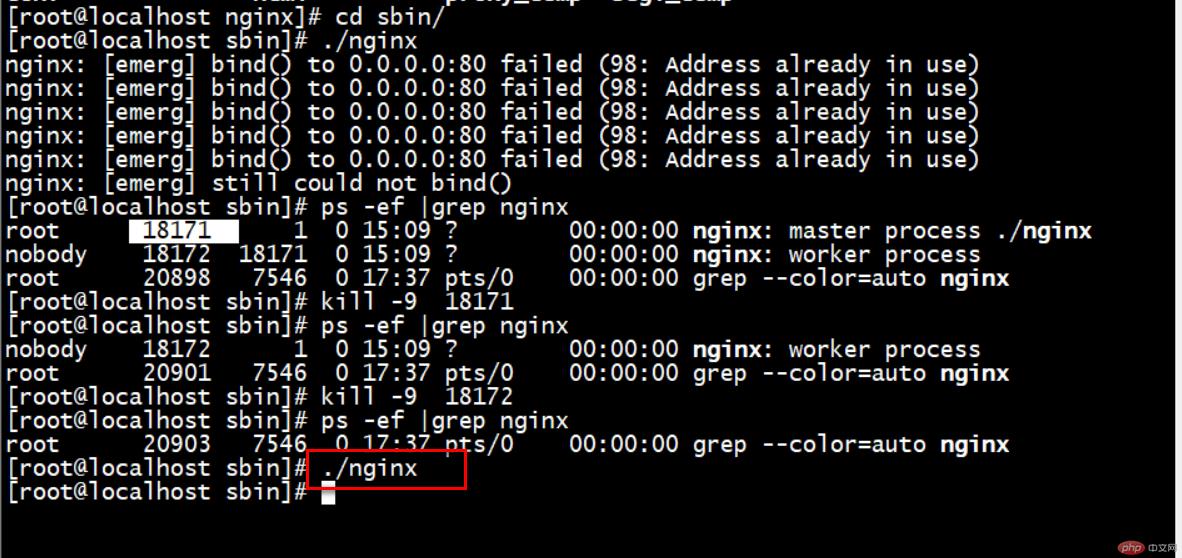 nginx光速入门到进阶_反向代理_33