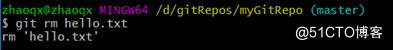Git分布式版本控制工具使用指南_远程仓库_23