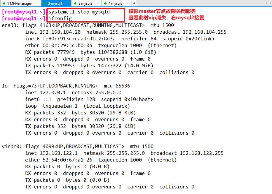 MySQL