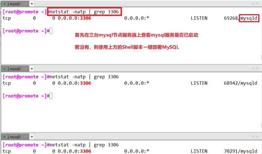 MySQL