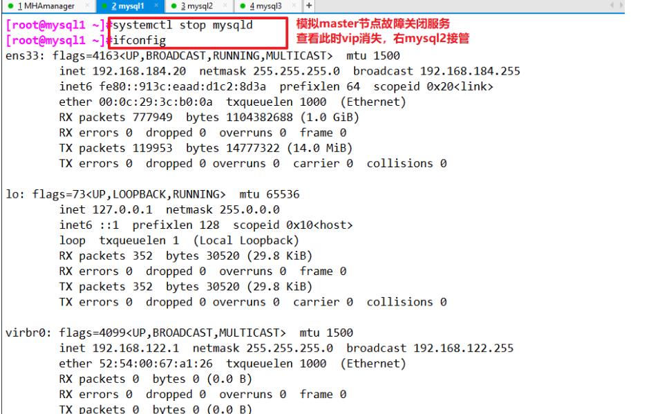 MySQL