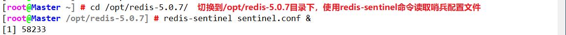 Redis（主从复制、哨兵模式、集群）概述及部署_数据_16