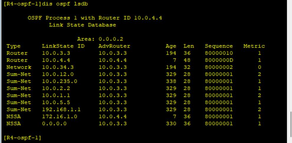 路由基础之OSPF链路状态数据库_序列号_25