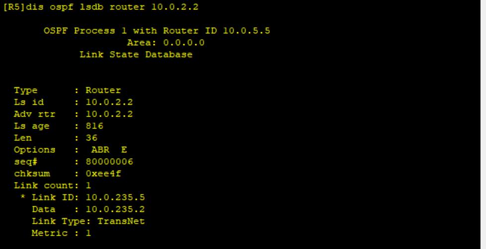 路由基础之OSPF链路状态数据库_序列号_12