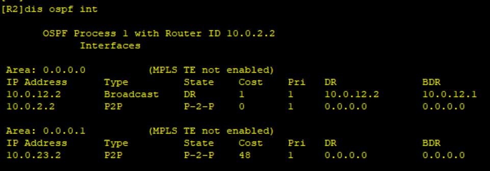 路由基础之OSPF的监测和调试_网络类型_04