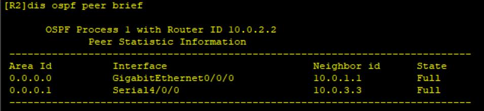 路由基础之OSPF的监测和调试_网络类型_03