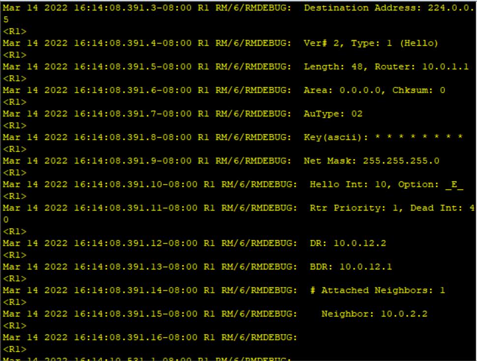 路由基础之OSPF的监测和调试_详细介绍_11