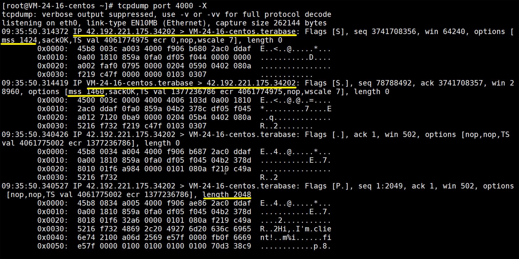 TCP/IP协议之四TCP协议（中）—理论+实践给你讲清楚_数据_02