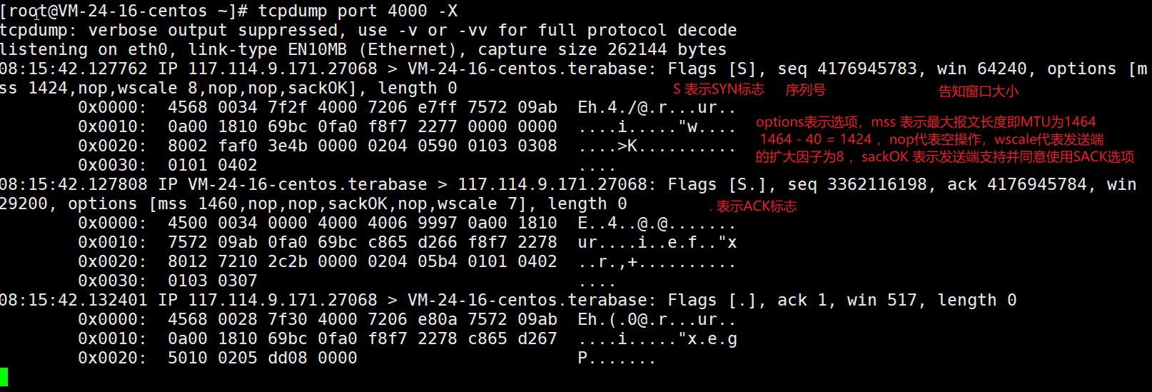 TCP/IP协议之四TCP协议（上）—理论+实践给你讲清楚_客户端_05