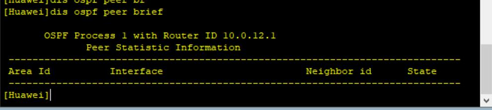 路由基础之配置OSPF的认证和被动接口的配置_OSPF_05