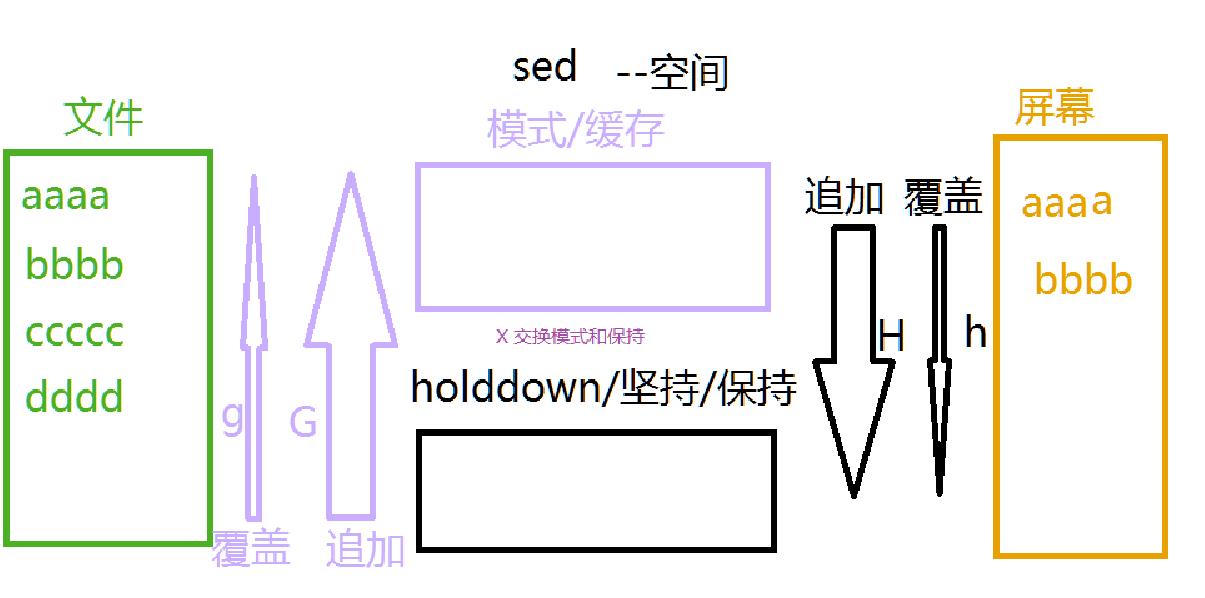 正则表达式