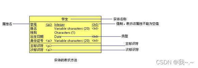 PowerDesigner使用_数据库架构_10