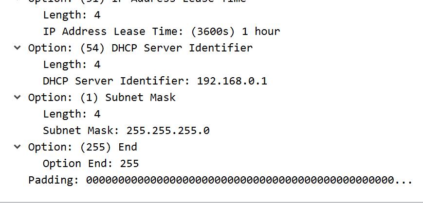 企业网络入门-DHCP报文分析_dhcp抓包_15