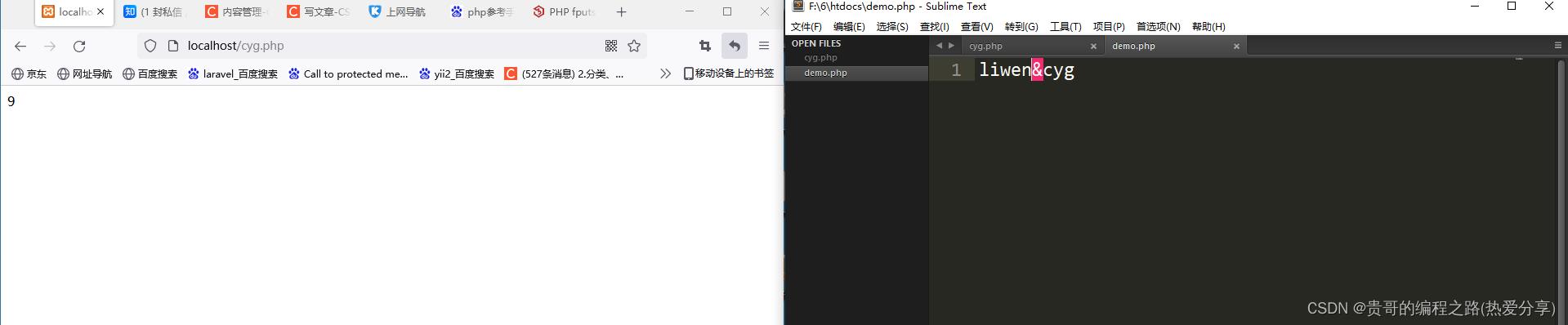 php手册Filesystem函数大全（解析）_文件名_29