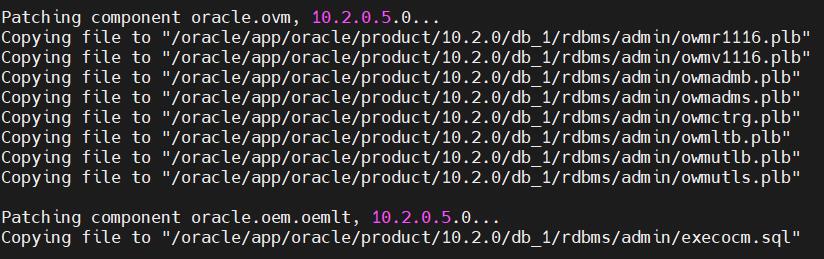 oracle拨云见日第7篇之Oracle10.2.0.1升级10.2.0.5.19_opatch_54