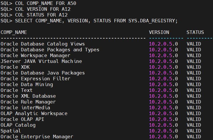 oracle拨云见日第7篇之Oracle10.2.0.1升级10.2.0.5.19_手工升级_40