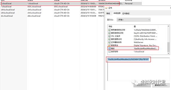 Citrix云桌面之DDC绑定SSL证书_ddc_04