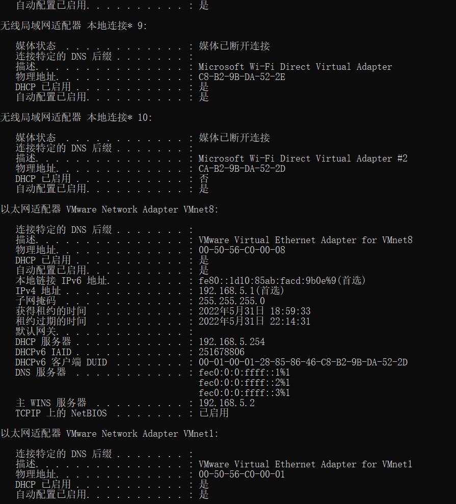 Windows命令--ipconfig--使用/详解_缓存_04