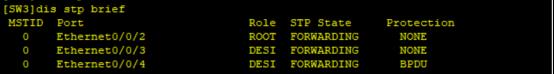 路由基础之RSTP原理及配置_备份端口_05