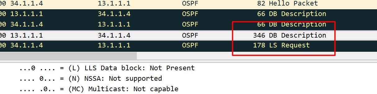 企业网络入门-抓包ospf数据包_ospf路由协议_13