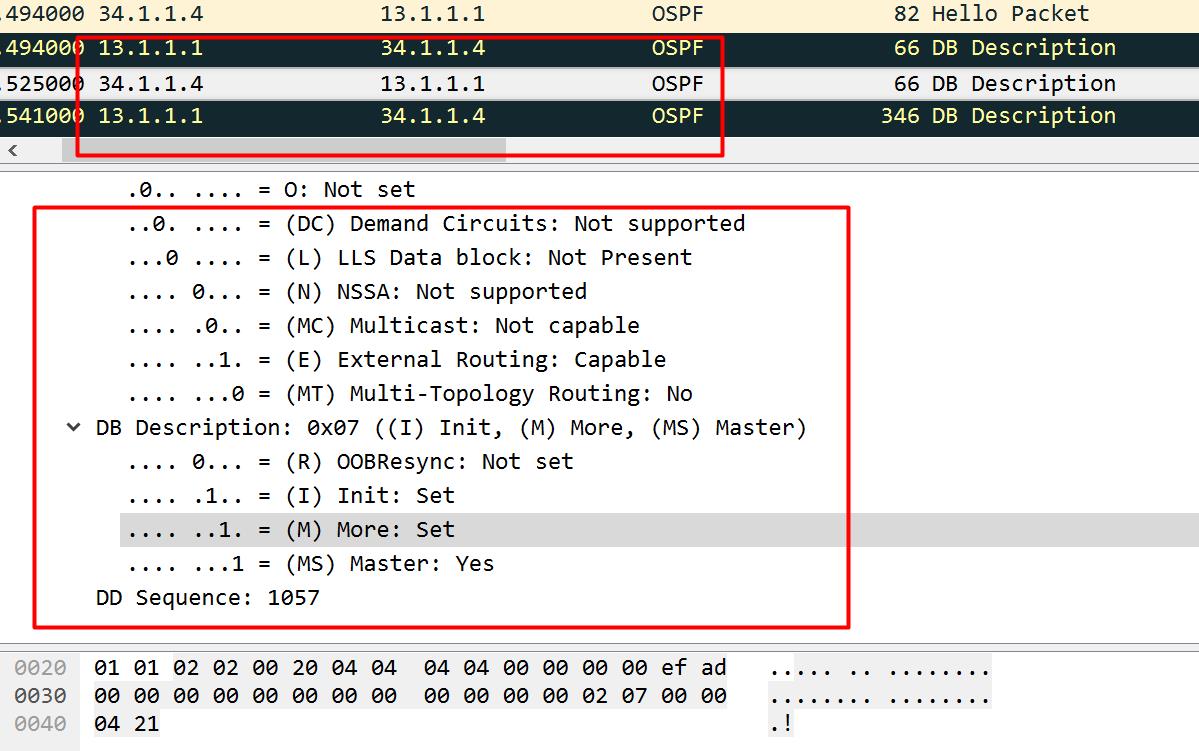 企业网络入门-抓包ospf数据包_网络技术_08