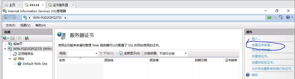 windows系统-PKI证书服务器_web服务器_12