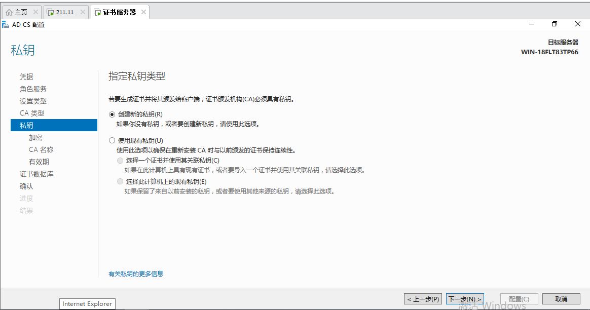 windows系统-PKI证书服务器_web服务器_07