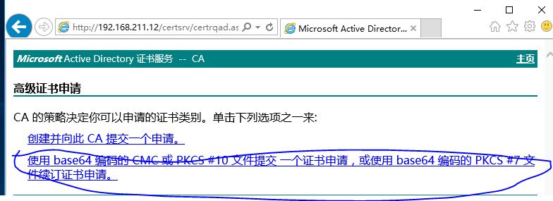 windows系统-PKI证书服务器_web服务器_17