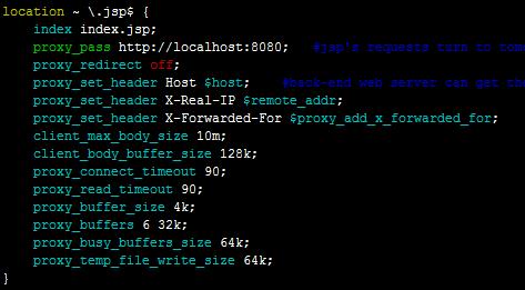 Nginx+Tomcat实现反向代理与负载均衡入门_tomcat_02