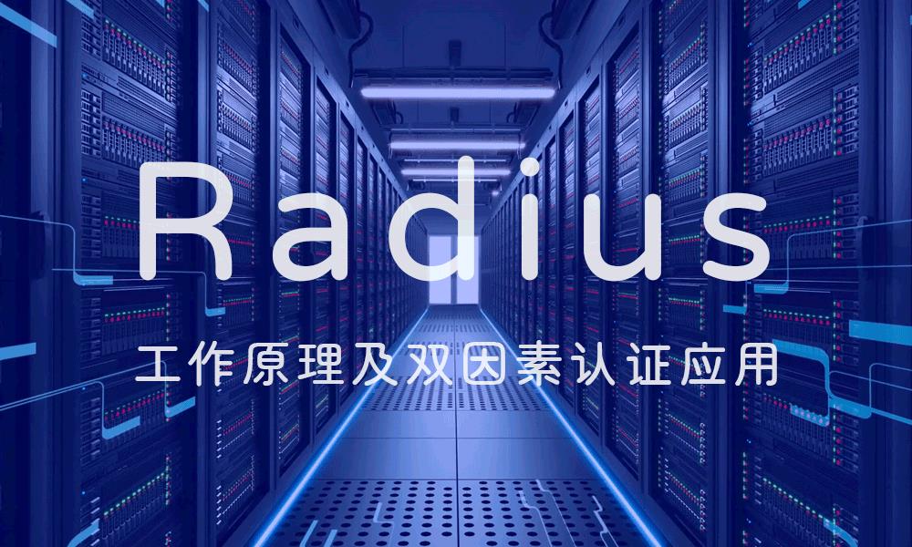 Radius协议工作原理及双因素认证应用_双因素认证