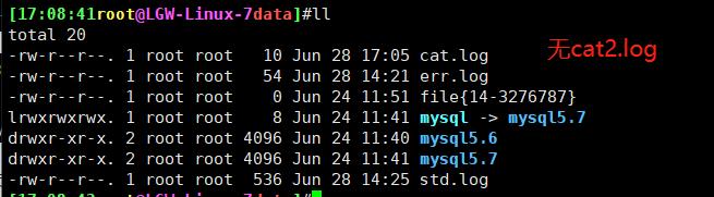 10、标准I/O输入输出重定向及管道_标准输入_27