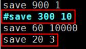Redis专题(九)-Redis的持久化策略_持久化_05