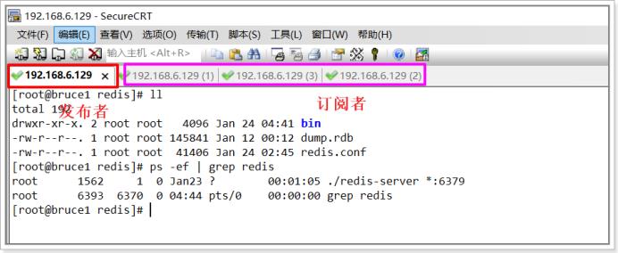 Redis专题(六)-Redis的发布与订阅_redis_03