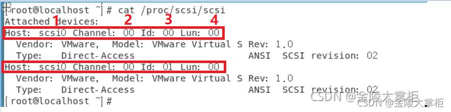 Linux之如何识别系统新增的硬盘_百度_05