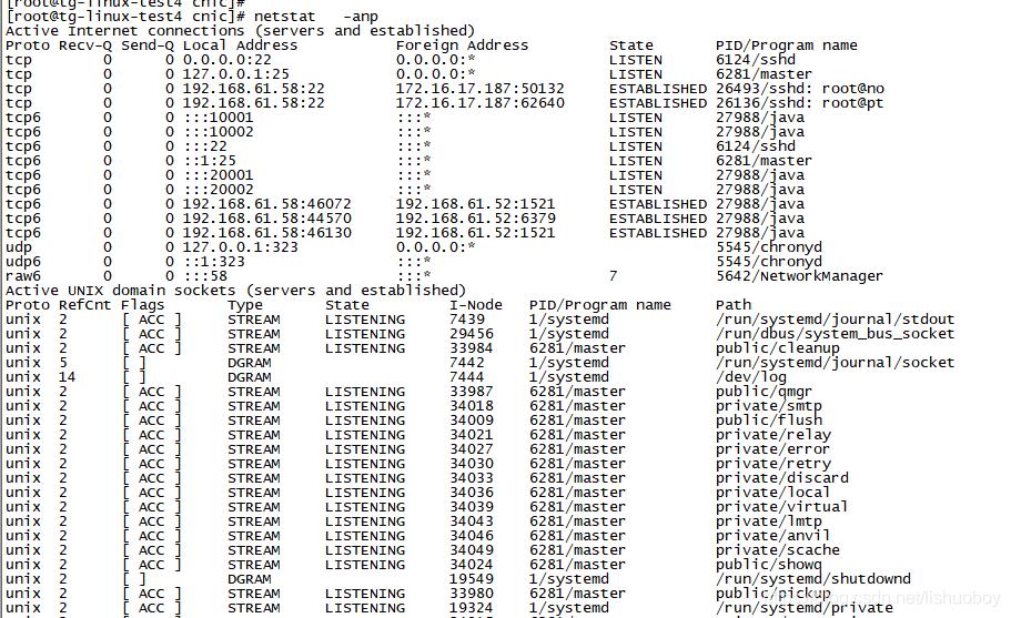 linux查看所有/某个程序端口占用情况_java