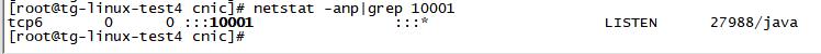 linux查看所有/某个程序端口占用情况_java_03