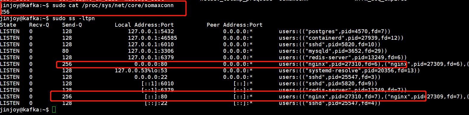 linux内核与容器关系_nginx_06