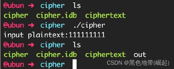 【软件逆向-求解flag】内存获取、逆变换操作、线性变换、约束求解_安全_04