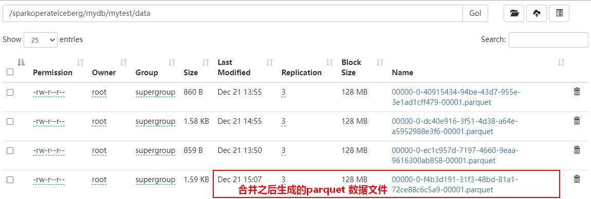 数据湖（十四）：Spark与Iceberg整合查询操作_spark_38