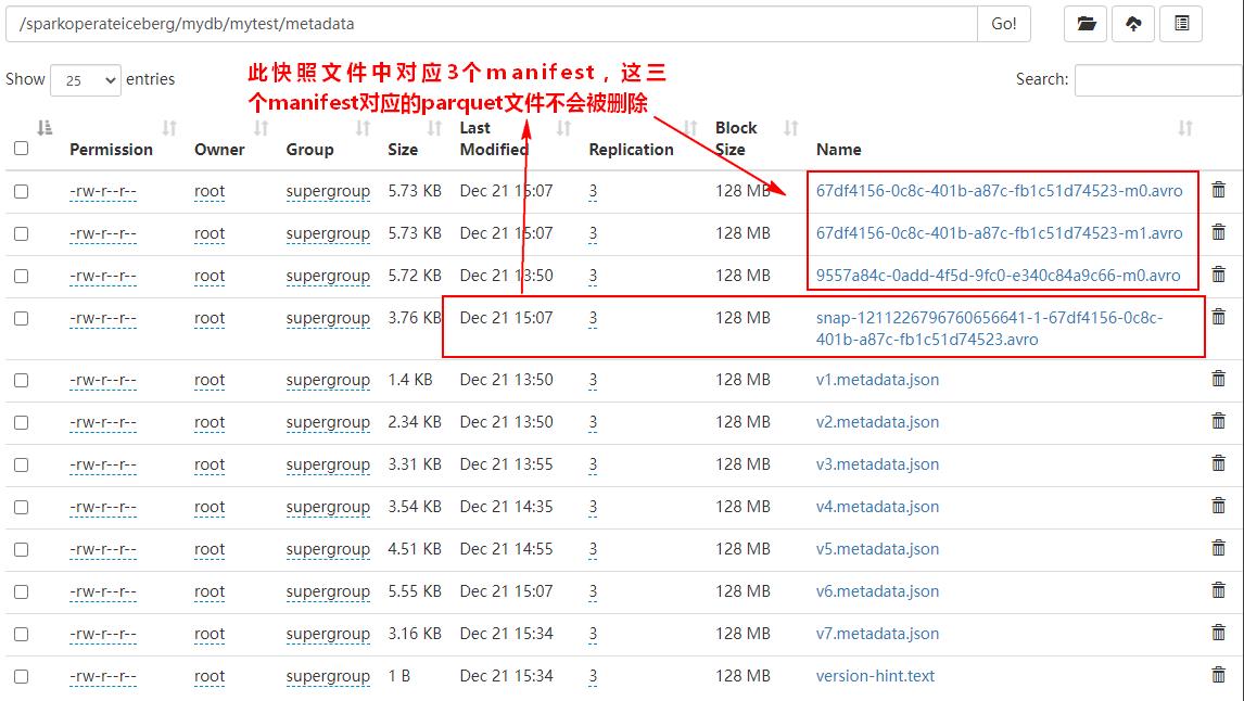 数据湖（十四）：Spark与Iceberg整合查询操作_spark_47