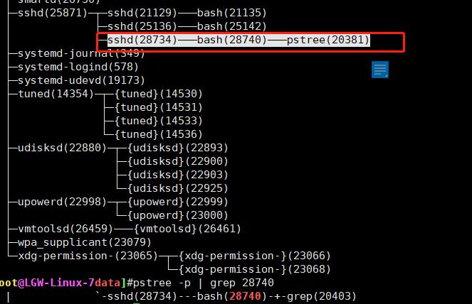 20、shell编程之变量_变量_02