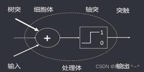 深度学习（二）一文带你了解神经网络，激活函数_神经网络_02