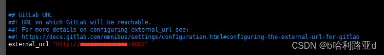 修改Docker部署gitlab的外部访问地址和端口_容器_02