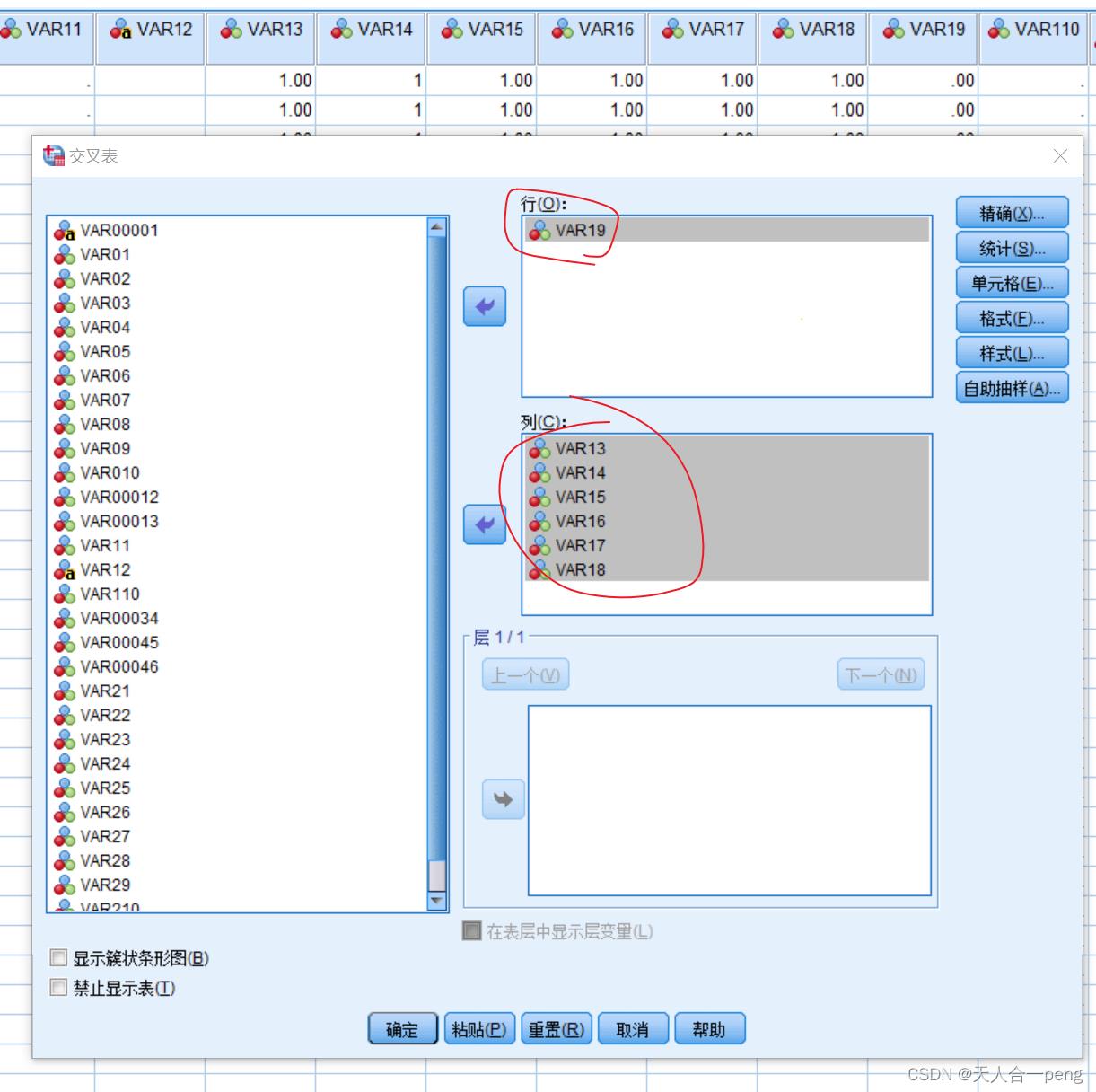 SPSS